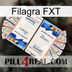 Filagra FXT kamagra1